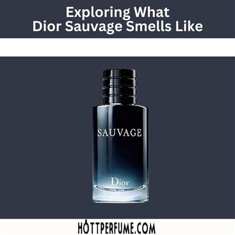 basenotes dior sauvage parfum|dior sauvage smells like.